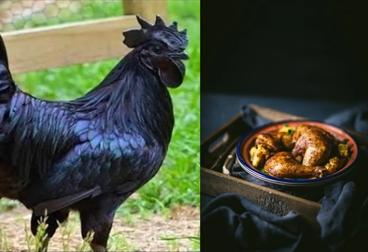 \Kadaknath Karunzozhi chicken price soars high in Tamil Nadu, Kadaknath Karunzozhi chicken