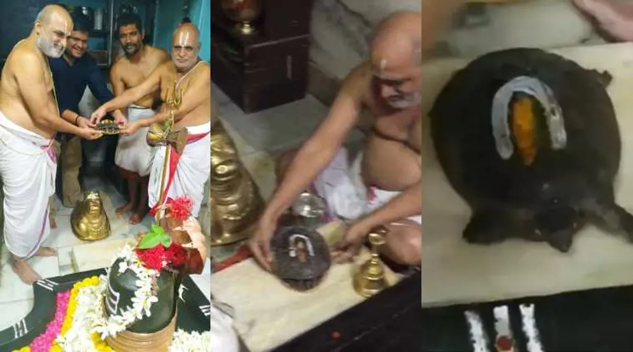 Turtle appears inside sanctum sanctorum of Balaji temple, Turtle appears inside sanctum sanctorum, விசா பாலாஜி கோயில், கோயில் கருவறைக்குள் தோன்றிய ஆமை, கோவிட்19 தடுப்பூசி, ஹைதராபாத், சில்குர் பாலாஜி கோயில், priests say vaccine against COVID-19 not far, hyderabad cilkur balaji temple, visa balaji