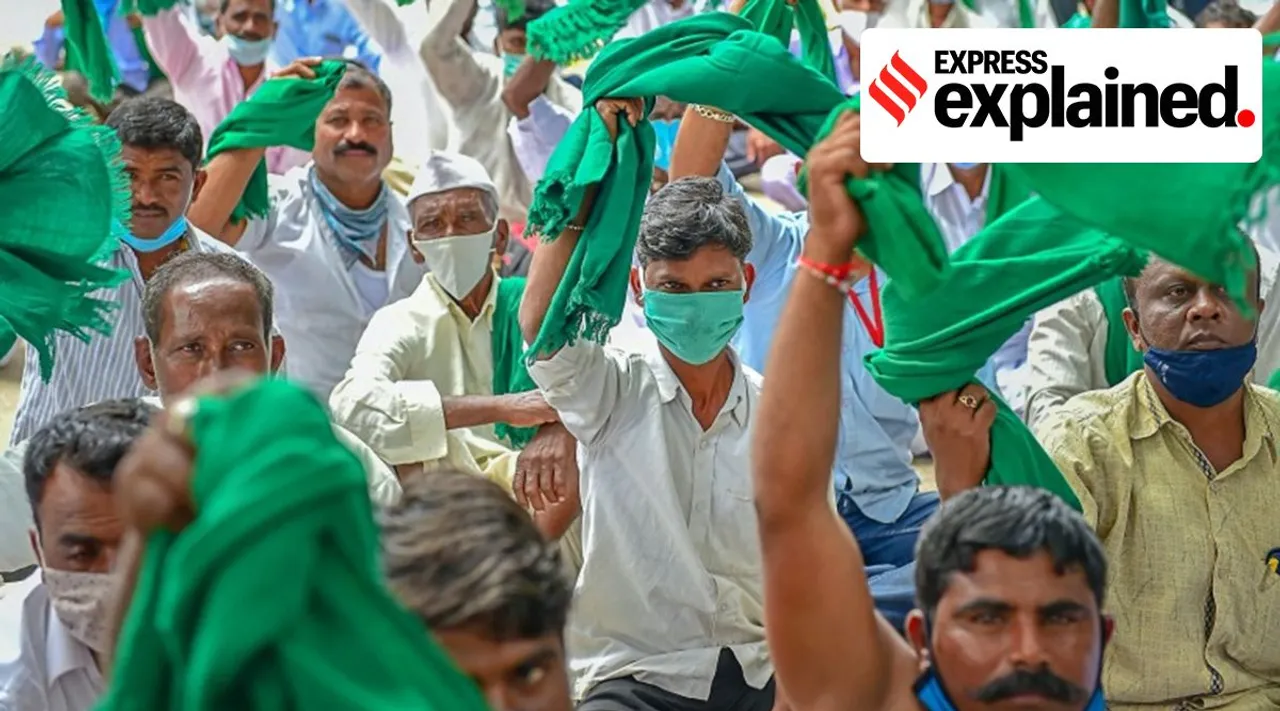 Simply Put: The farmer — a field report