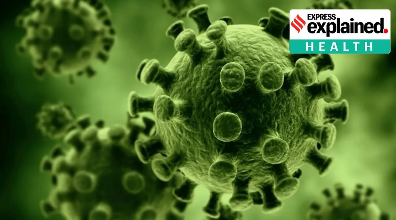 Corona Virus updates Tamil News
