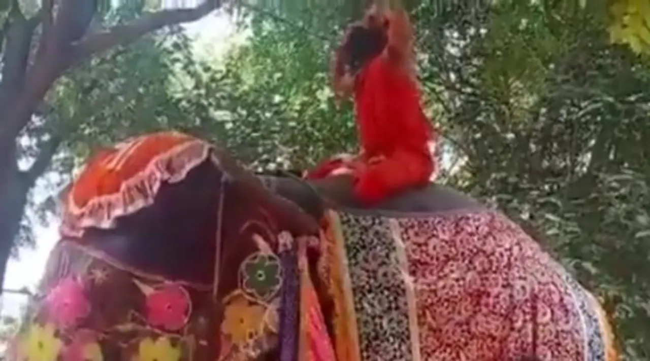 யானை மீது அமர்ந்து யோகா செய்த பாபா ராம்தேவ்: கீழே விழுந்ததால் பரபரப்பு