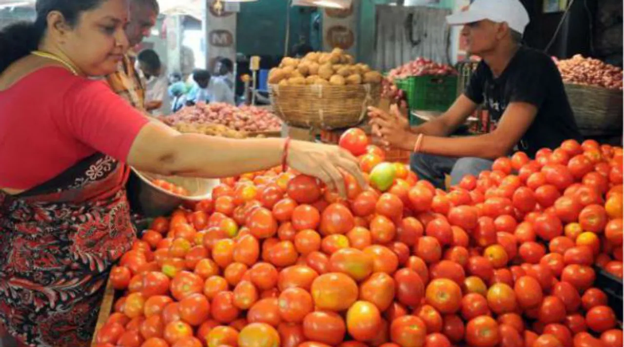 tomato tamil tomato vegetable tamil