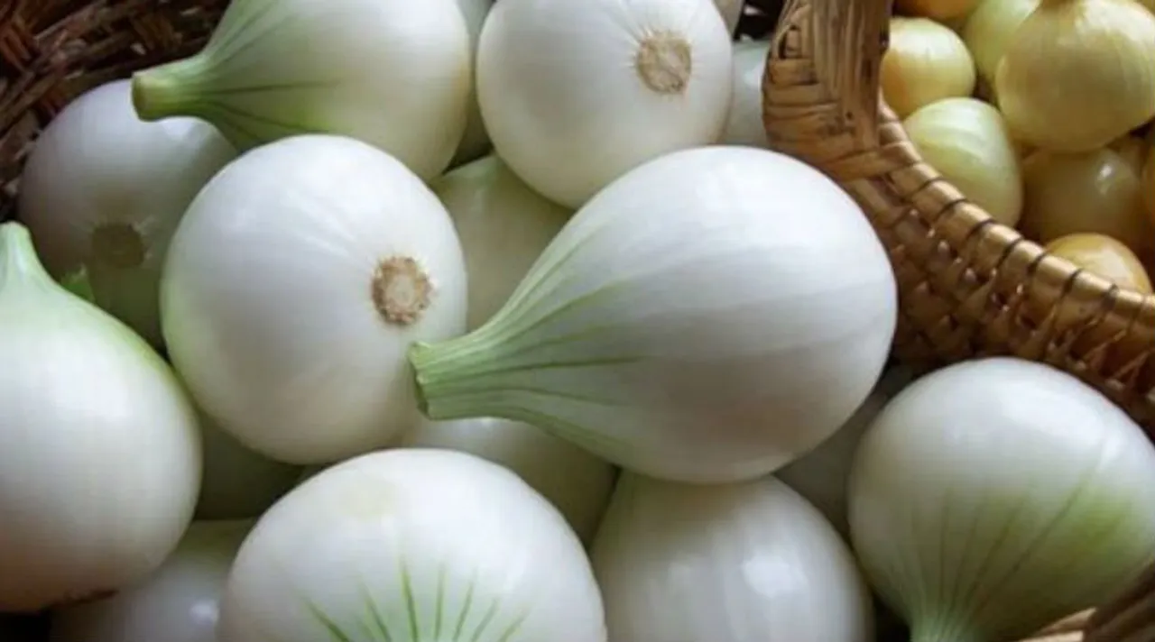 chennai vegetable market vegetable price