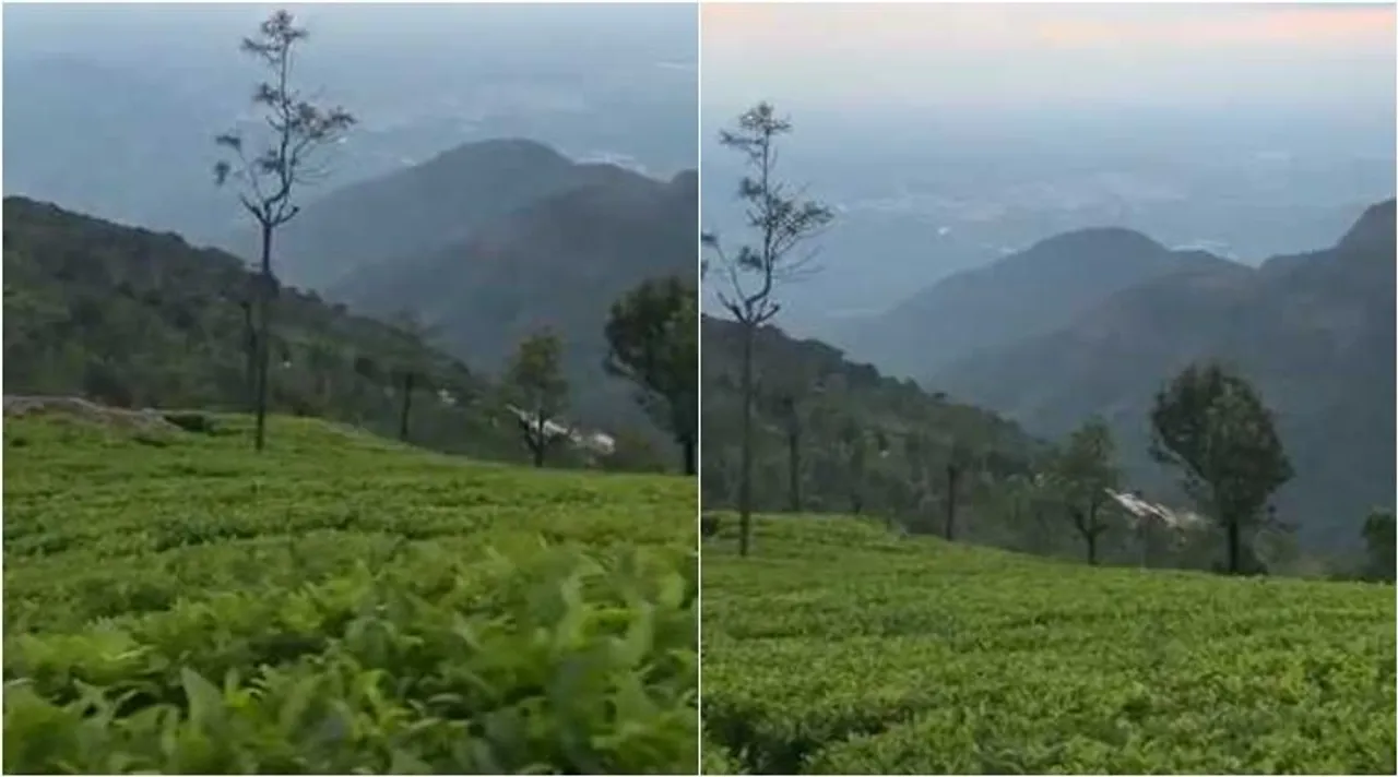 supriya sahu ias, supriya sahu ias shares nilgiris videos, சுப்ரியா ஐஏஎஸ், நீலகிரி மலை வீடியோ, வைரல் வீடியோ, nilgiris hills video, supriya ias videos, viral video, a heaven on earth
