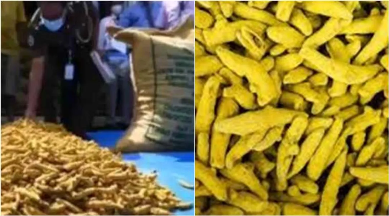 இலங்கைக்கு 20 டன் மஞ்சள் கடத்தல்: அடுத்தடுத்து தொடர்வது ஏன்?