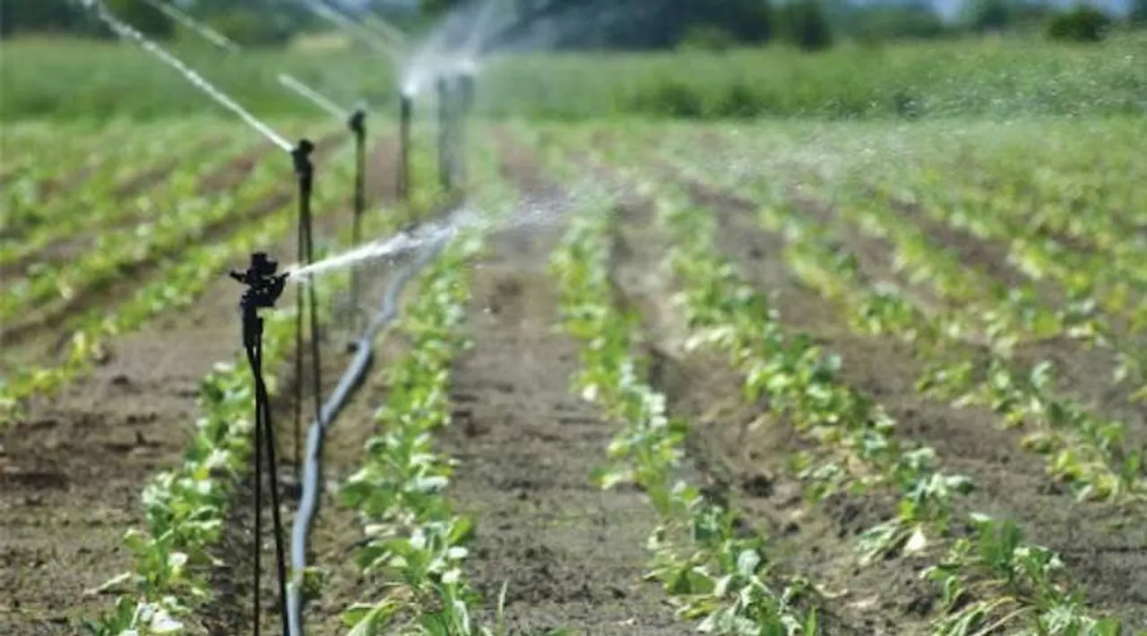 Lifestyle news in tamil home garden and terrace garden tamilnadu govt scheme