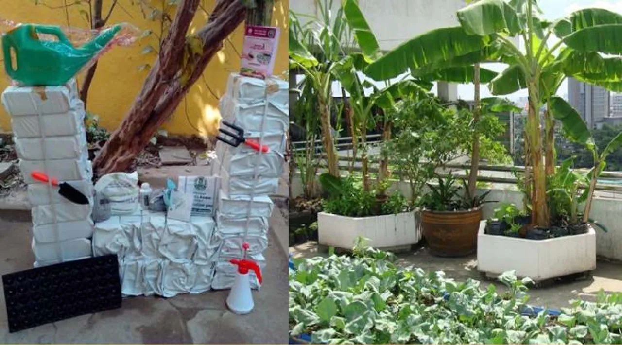 Lifesyle news in tamil rs.510 tamilnadu govt terrace garden kit and more benafits