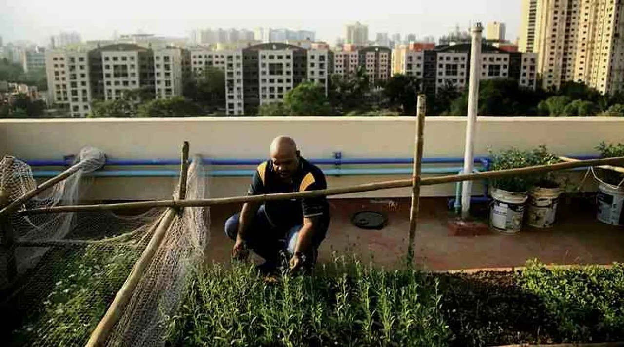 home gardening, home terrace gardening, home terrace gardening ideas, home terrace garden, மாடித் தோட்டம், வீட்டுத்தோட்டம், அப்பார்ட்மெண்ட்களில் மாடித் தோட்டம், home terrace gardening ideas for beginner, home terrace gardening tips for beginners, appartment terrace gardening, lifestyle news, gardening lifestyle, மாடித் தோட்டம் அமைப்பது எப்படி