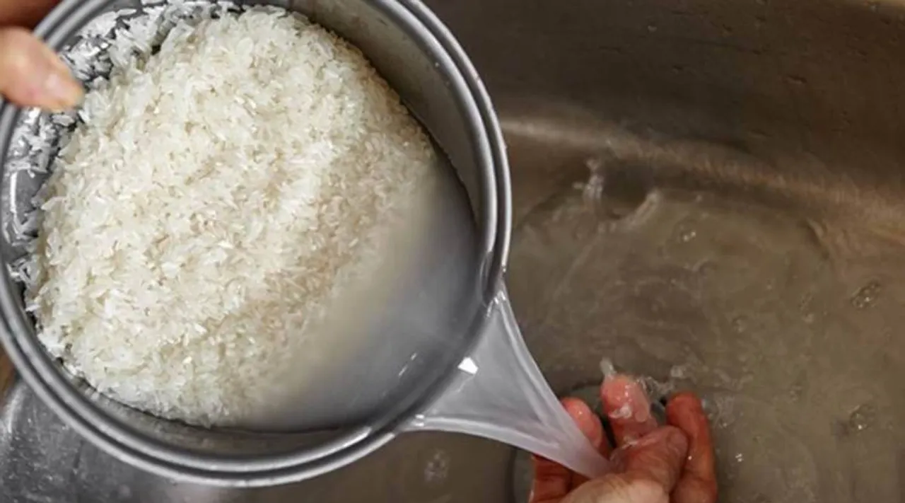 Rice Kanji, Rice Kanji cooking, rice kanji benefits, rice kanji cooking video, அரிசி கஞ்சி, அரிசி கஞ்சி செய்வது எப்படி, குக்கரில் அரிசி கஞ்சி செய்வது எப்படி, tasty Rice Kanji Cooking, rice kanji, Tamil Recipe News, tamil rice kanji video, tamil recipe