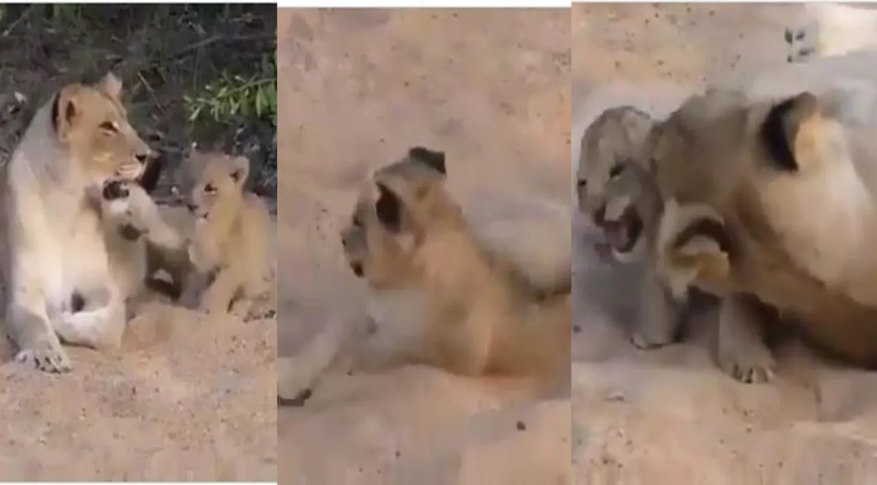 Viral video , Trending viral video