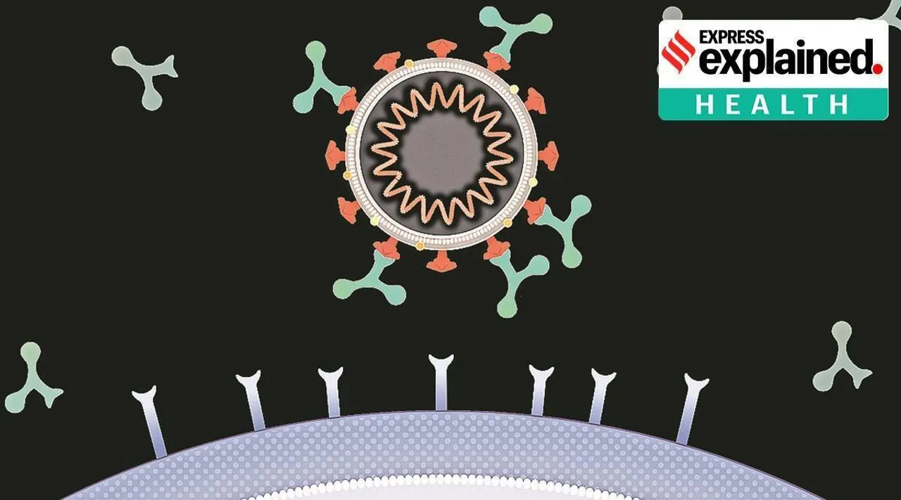 Combo antibody treatment reduces hospitalisation Tamil News