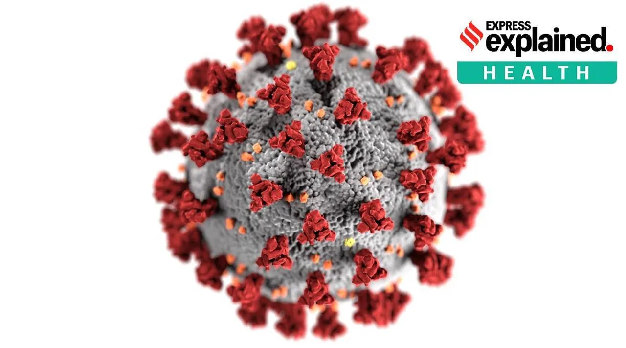 New research, How beautified images affect perceptions of the coronavirus, புதிய ஆய்வு, கொரோனா வைரஸ், அழகுபடுத்தப்பட்ட படங்கள் எப்படி கொரோனாவைரஸின் பார்வையை பாதிக்கிறது, பார்சிலோனா தன்னாட்சி பல்கலைக்கழகம், coronavirus, sars cov-2, sars cov-2 beautified images, covid 19, New research How beautified images affect perceptions of the coronavirus, the Instituto de Radio Televisión Española