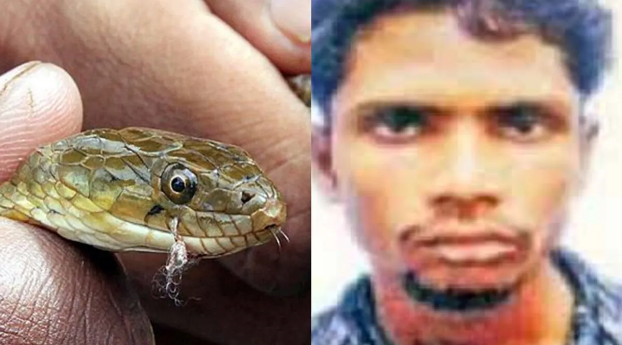 bilal malik