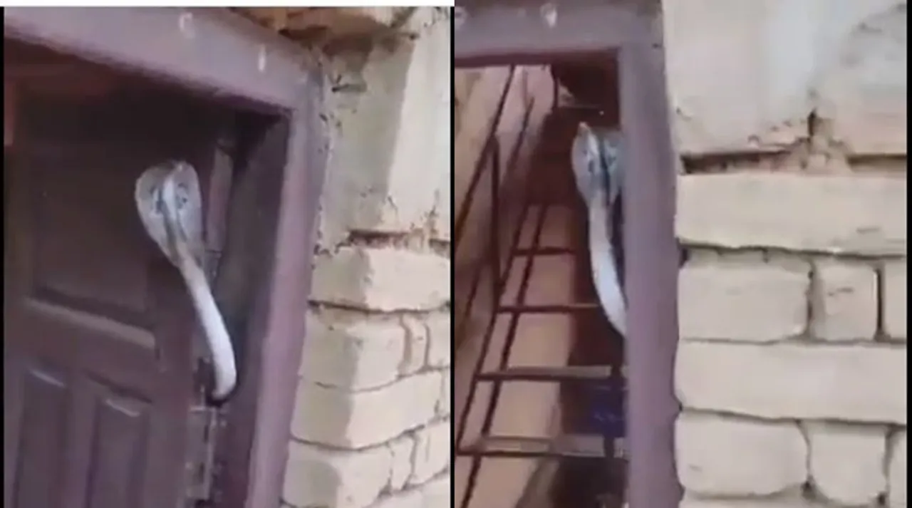 Viral Video: இவருதாங்க செக்யூரிட்டி கார்டு; பத்திரமா இல்லைன்னா அவ்ளோ தான்!