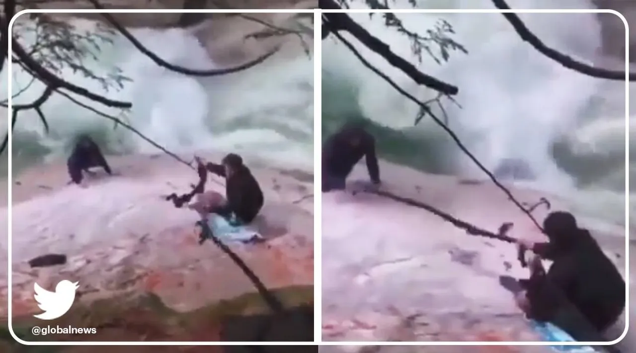 viral video, viral trending video, news