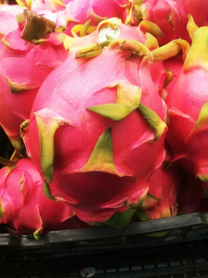 dragon fruit 1 - unsplash (1)