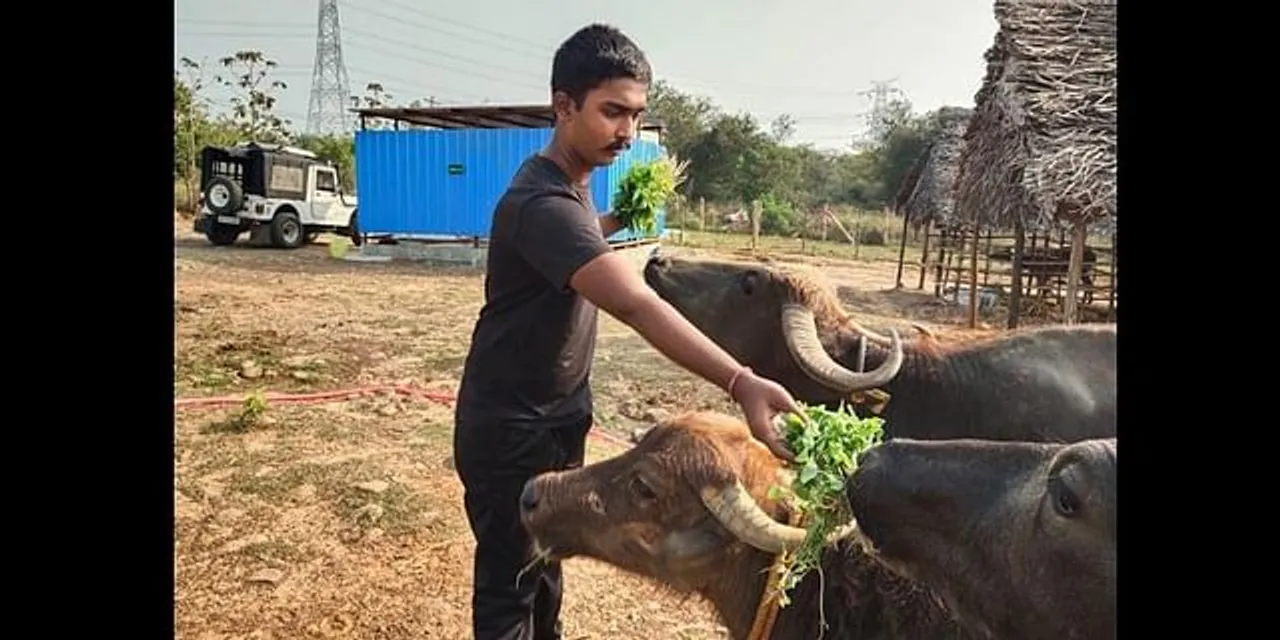 கைவிடப்பட்ட கால்நடைகளுக்கு கைக்கொடுக்கும் இளம் விலங்கு நல ஆர்வலர்!