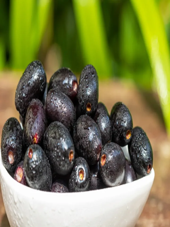jamun fruit (1)