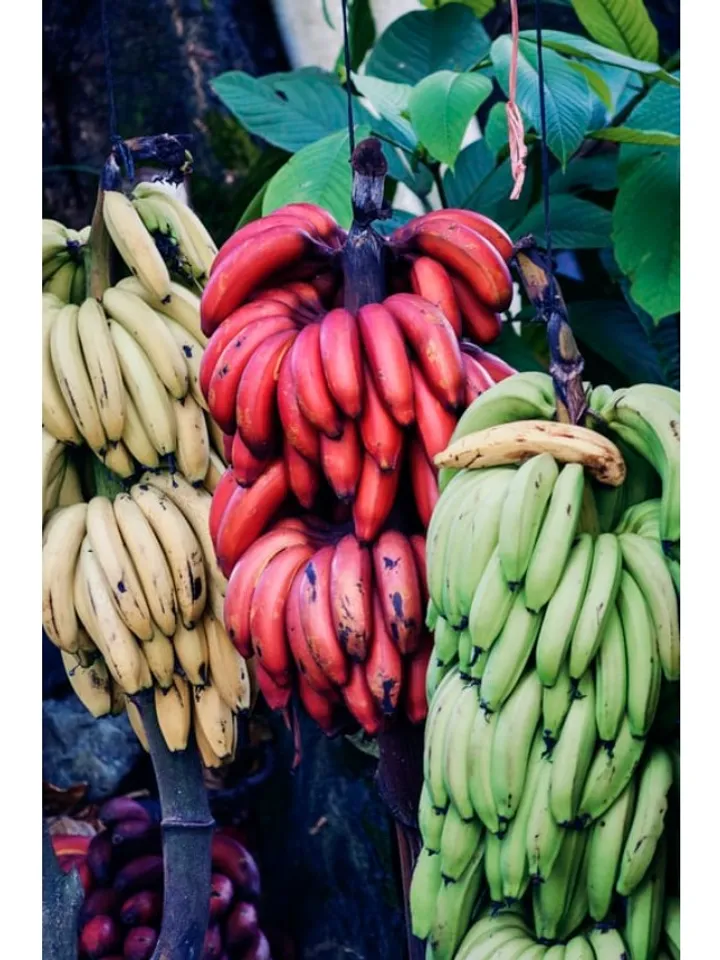 red banana - unsplash (1)