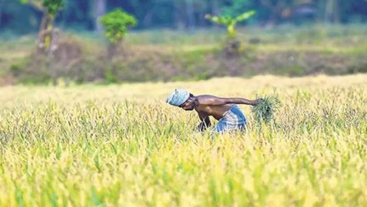 பிஎம் கிசான் நிதியுதவி; 11-வது தவணை குறித்த முக்கிய அறிவிப்பு