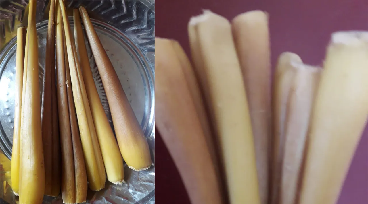 இம்யூனிட்டி, இரும்புச் சத்து, எடை குறைப்பு... பனங்கிழங்கு சீசன் இதுதான்; மிஸ் பண்ணாதீங்க!