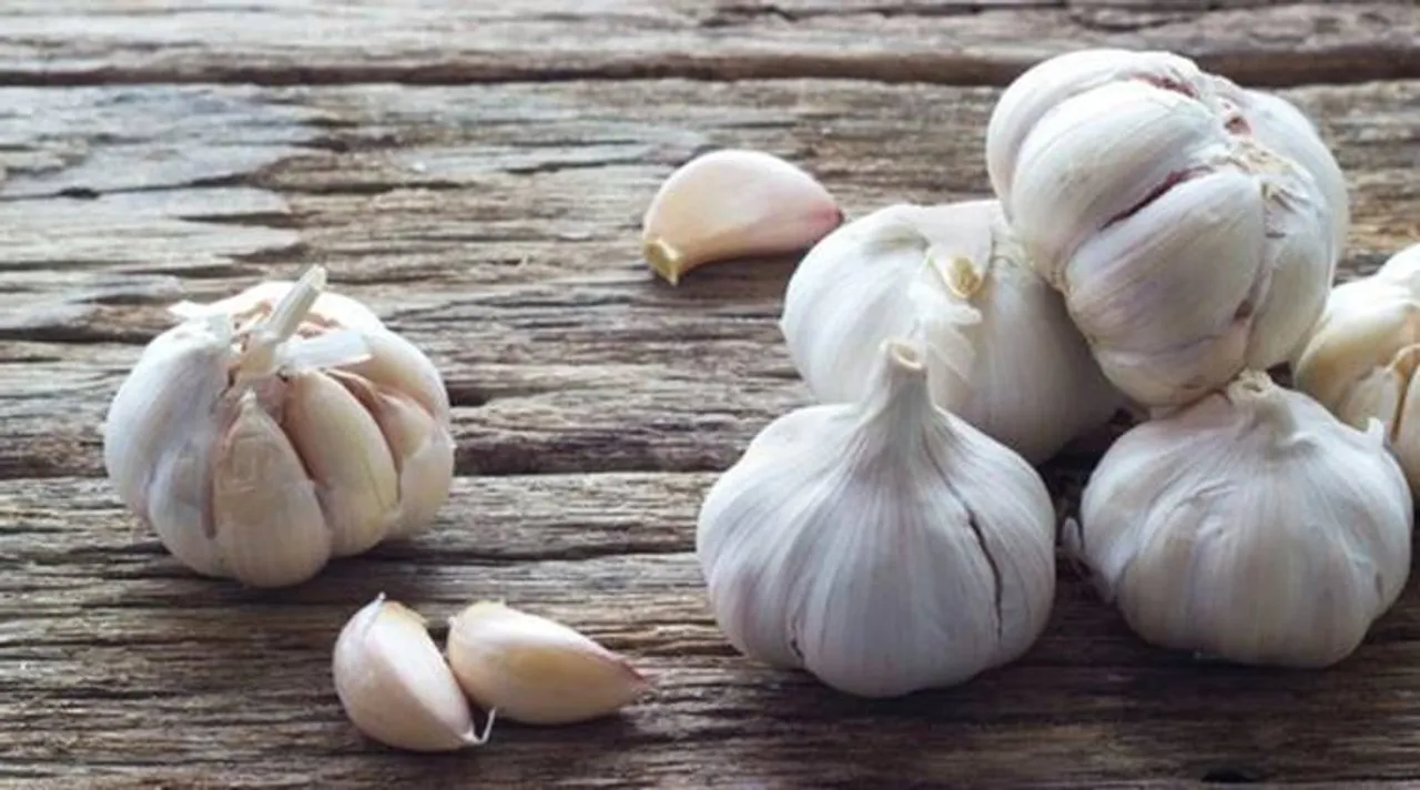 garlic