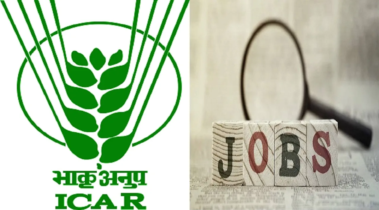 ICAR Recruitment; இந்திய வேளாண் ஆராய்ச்சி கழகத்தில் 641 பணியிடங்கள்; 10-ம் வகுப்பு தேர்ச்சி போதும்!
