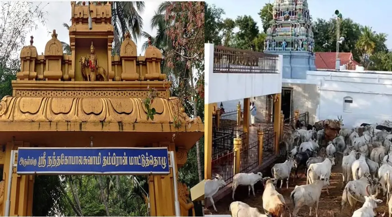 Nandagoapalan thambiran thozhuvam in Theni