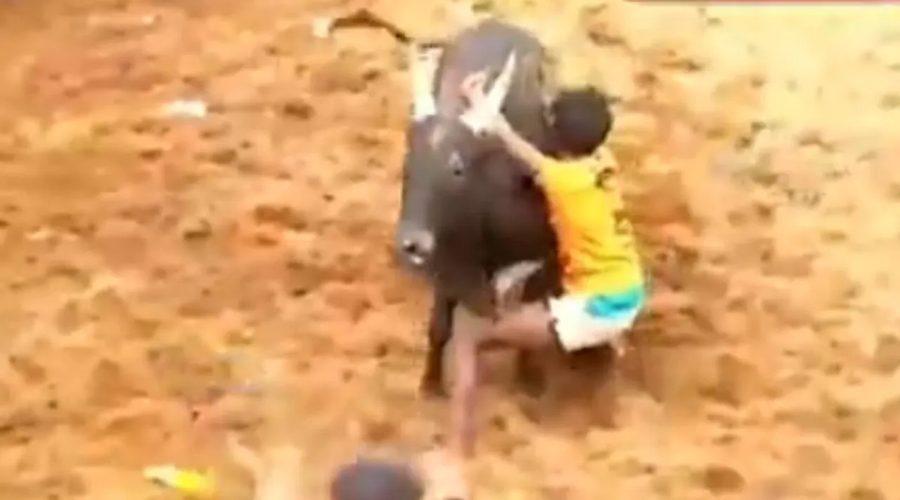 அமைச்சர் பி.டி.ஆர் மாட்டை பிடிச்சா பரிசு கிடையாதா? அலங்காநல்லூர் காமெடி