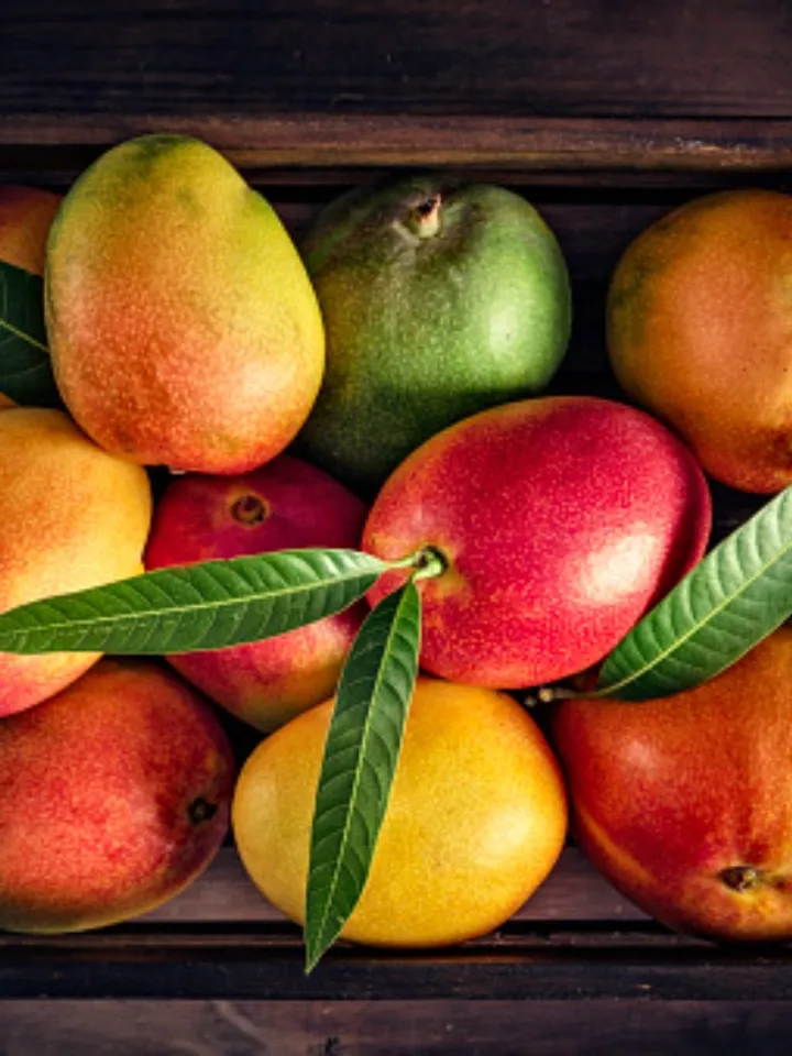 mango 7 - unsplash (1)