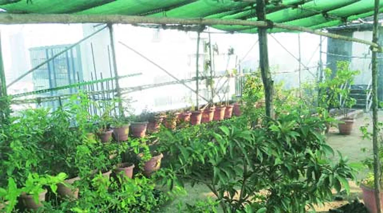 roof garden kit