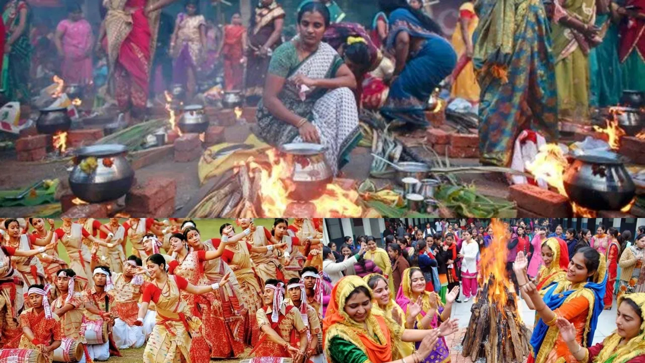 இந்தியா கொண்டாடும் உழவர்கள் திருவிழா… மற்ற மாநிலங்களில் எப்படியெல்லாம் கொண்டாடுறாங்க தெரியுமா?