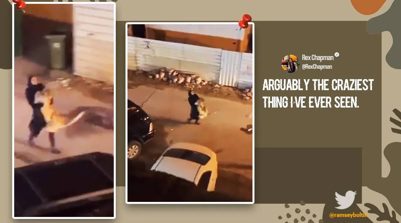 Viral video of woman carrying a lion in her arms