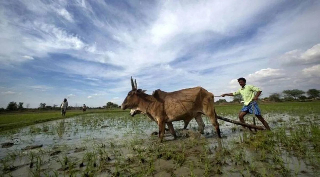 இந்திய உழவாண்மை பிற்போக்கானதா?