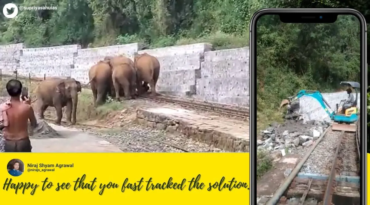 Viral Video of elephants struggling to cross tracks