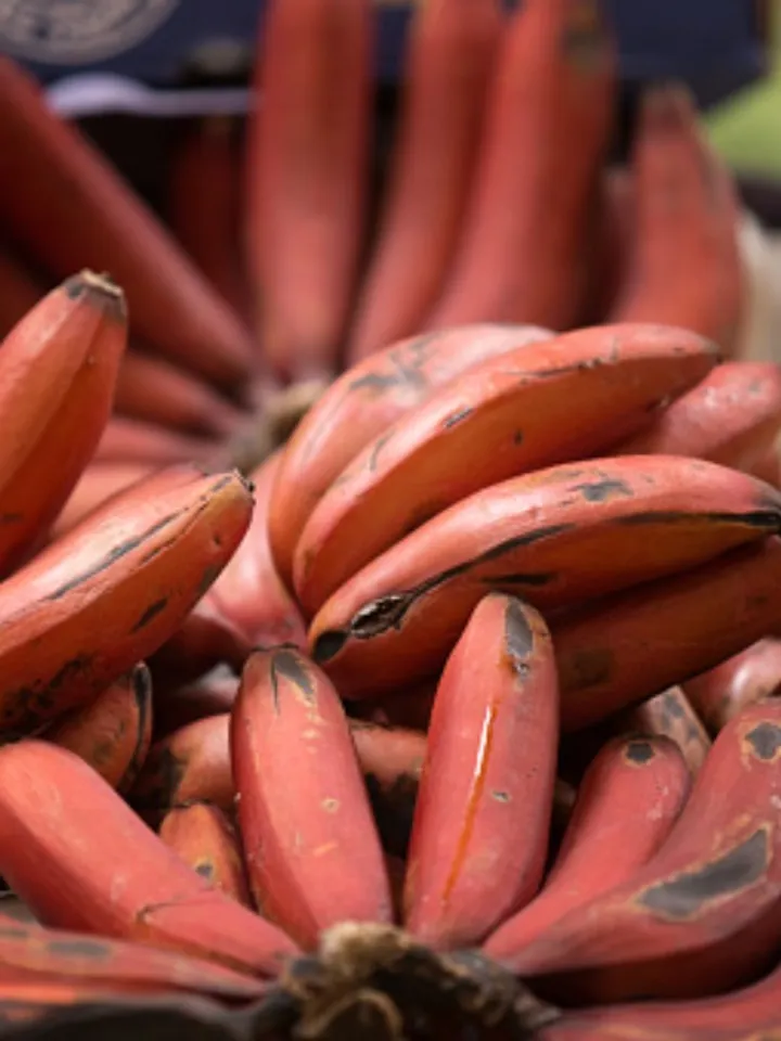 red banana 2 - unsplash (1)