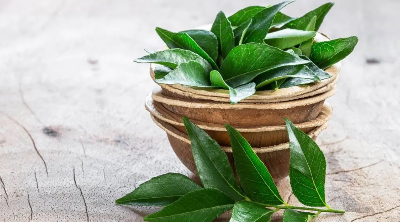 how to consume curry leaves for diabetes and cholesterol in tamil