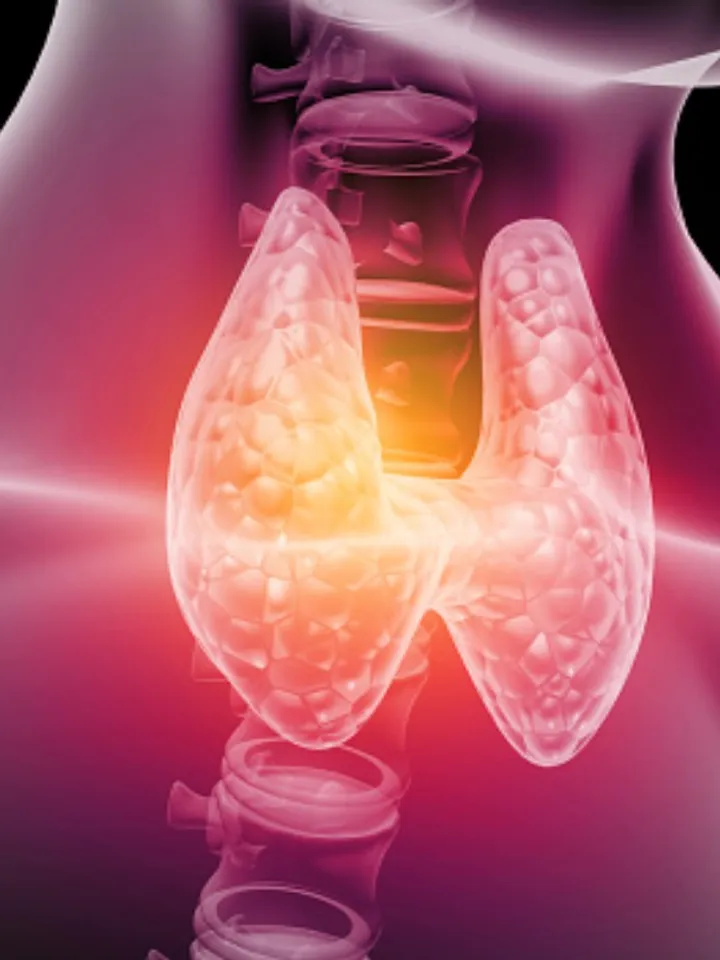 thyroid 1 - unsplash (1)