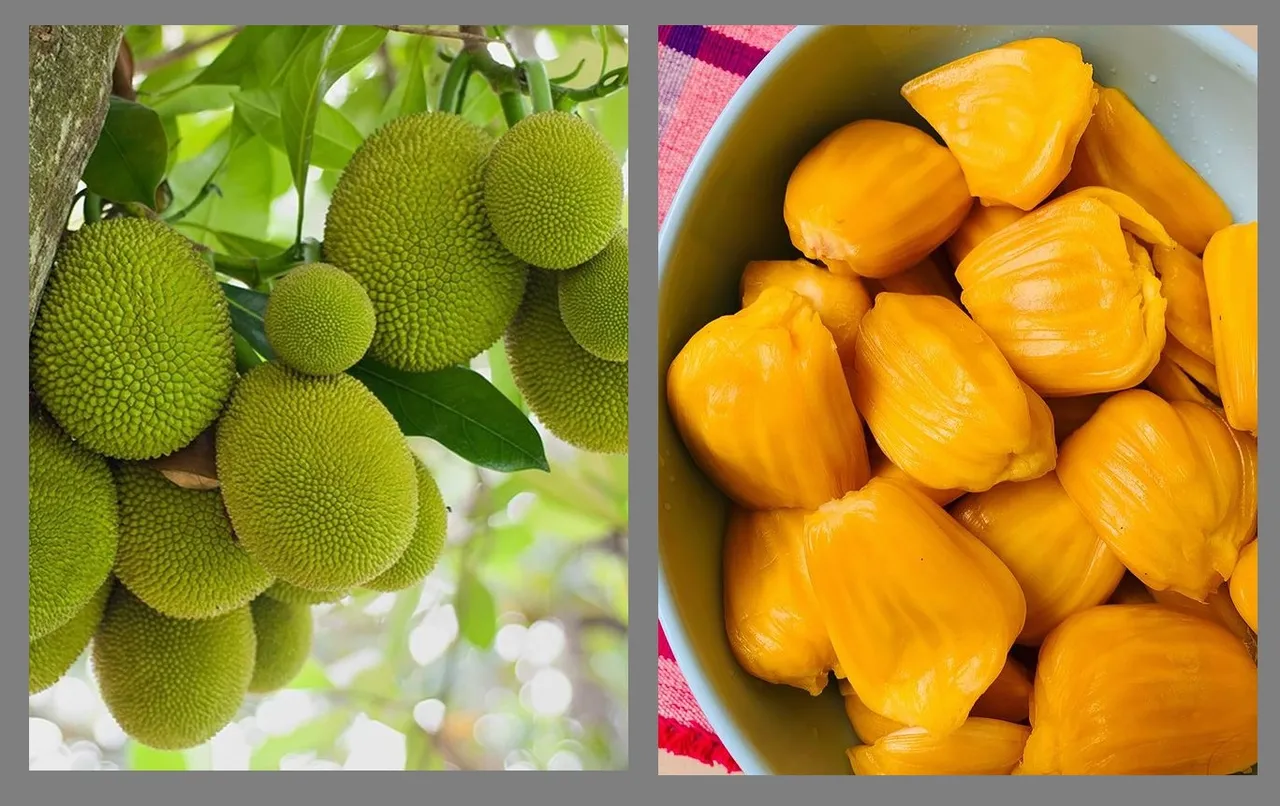 Jackfruit