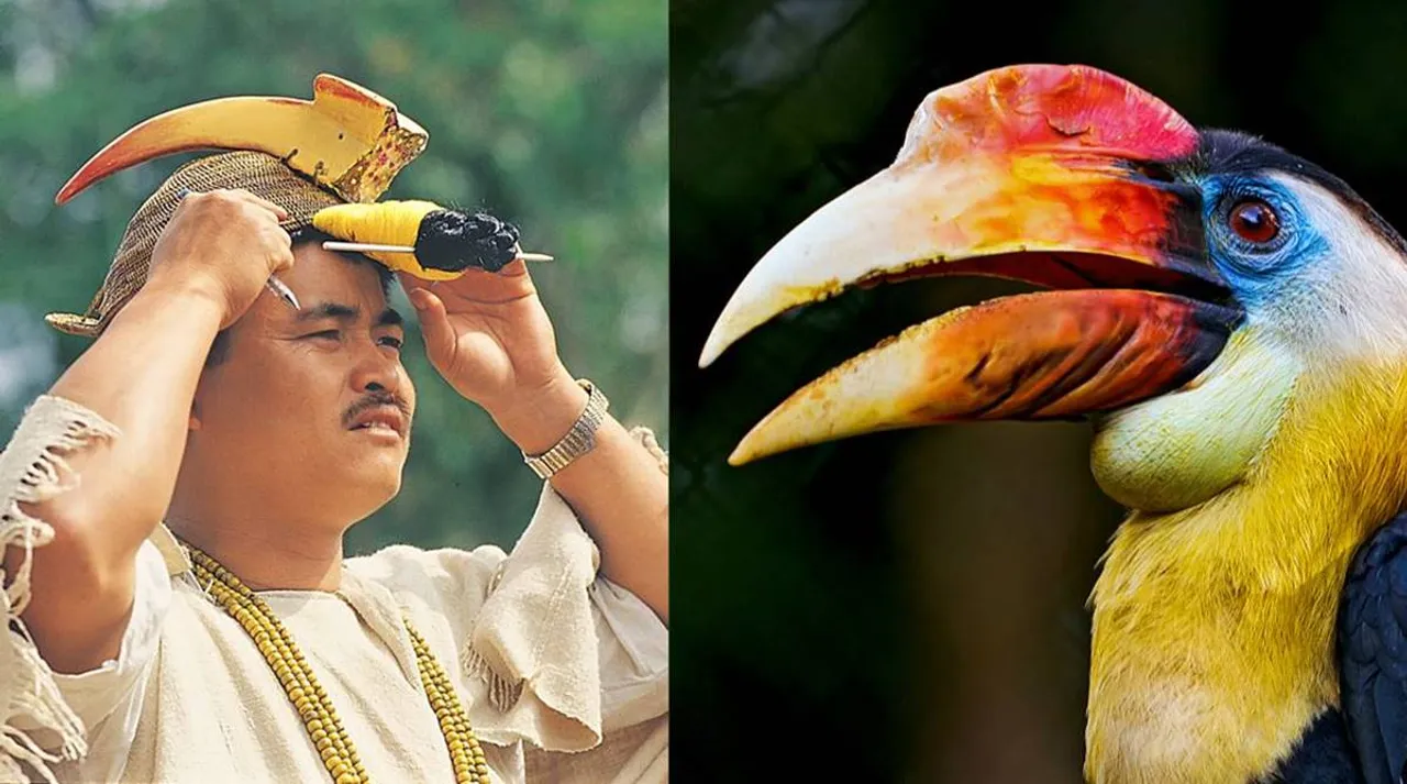 Hornbill Nest adoption Program, Nyishi tribes, Arunachal Pradesh, conservation, news,