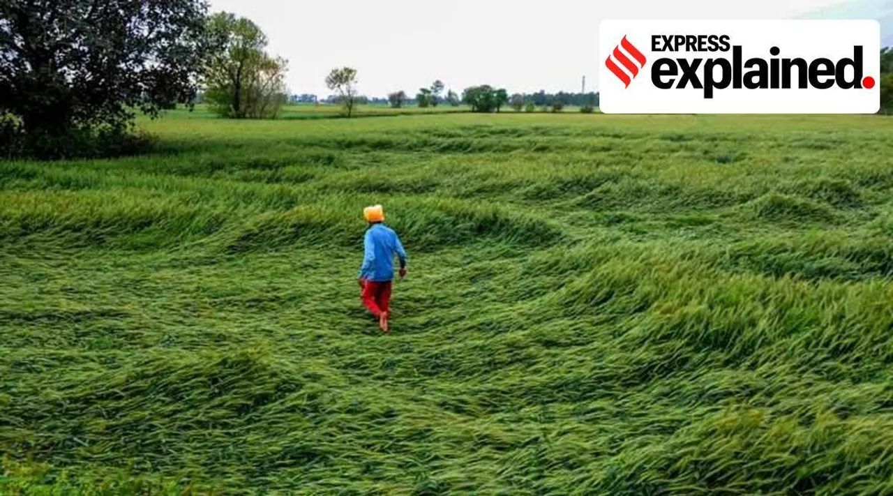 Ukraine Russia Crisis, Export avenue for farmers