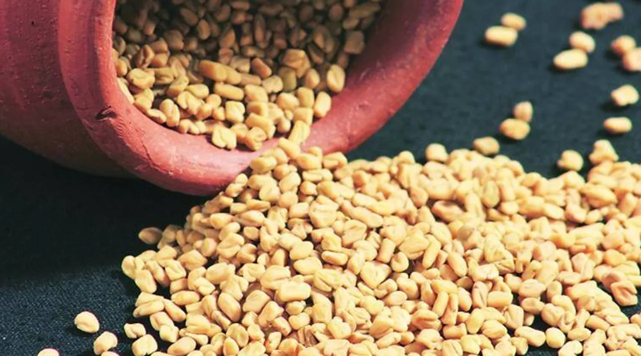 தினமும் 25 கிராம் வெந்தயம்... சுகருக்கு இது ஏன் பெஸ்ட்னு பாருங்க!