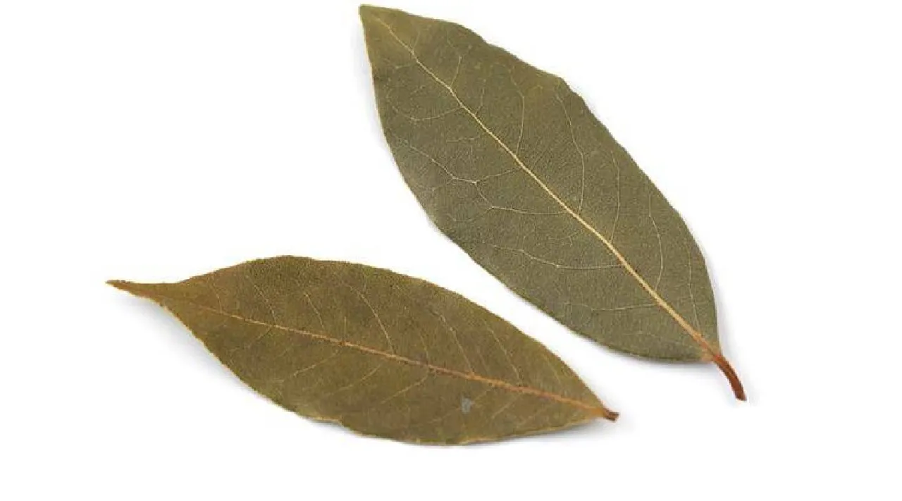 biryani leaf benefits in tamil: How To Use Bay Leaves to control Blood Sugar