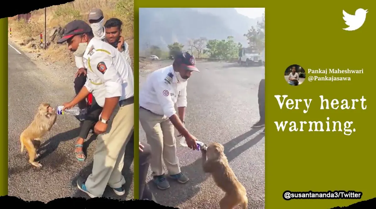 தாகத்தில் தவித்த குரங்கிற்கு தண்ணீர் கொடுத்த காவலர் - வைரலாகும் வீடியோ