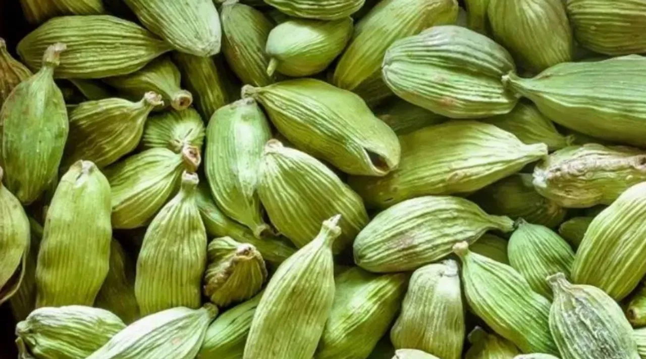 cardamom benefits, cardamom tree, cardamom pronunciation, cardamom powder, cardamom uses, cardamom seeds, ஏலக்காயின் பலன்கள், ஏலக்காய் நன்மைகள், ஏலக்காய், தினமும் 3 ஏலக்காய், ஆரோக்கியம், cardamom substitute, how much cardamom to be eaten a day, what is cardamom used for, cardamom powder benefits, cardamom flavor, substitute for cardamom, ground cardamom