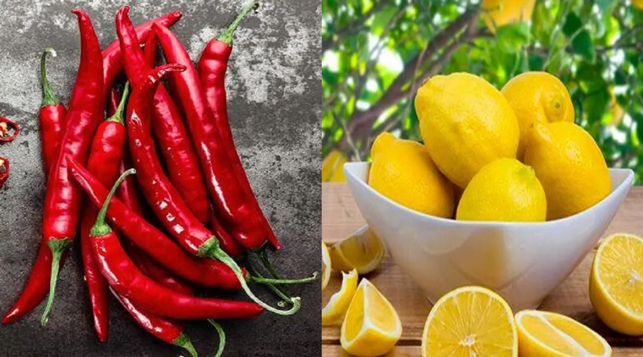 தமிழ்நாட்டின் 3 விவசாய பொருட்கள் புவிசார் குறியீட்டுக்கு விண்ணப்பம்; எவை தெரியுமா?