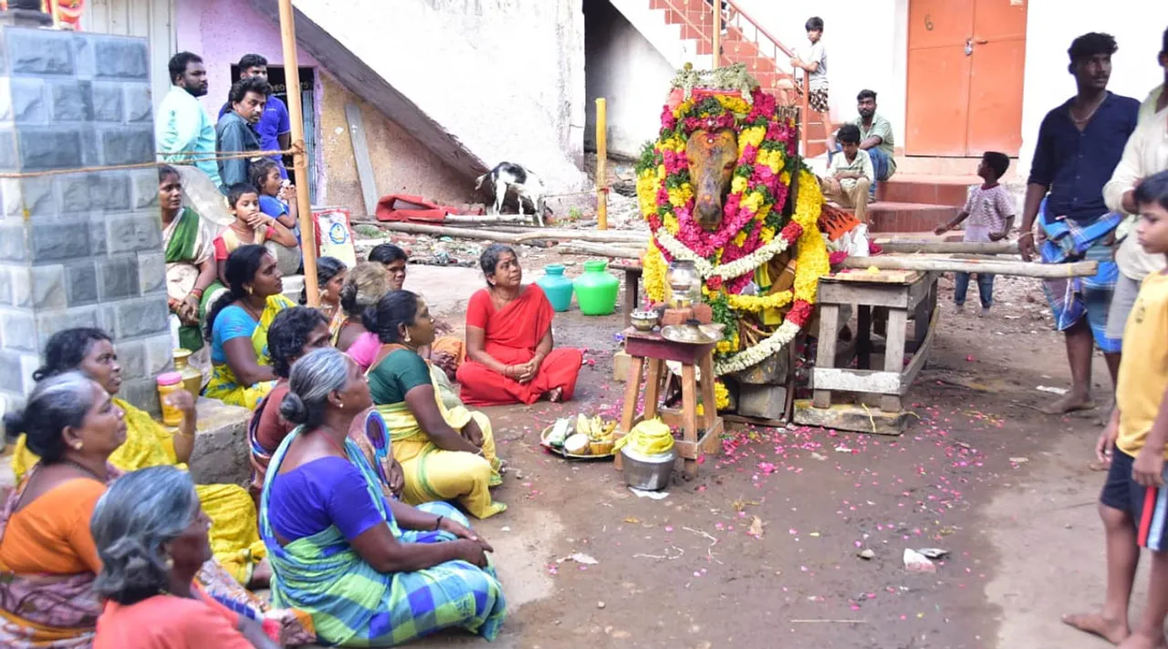 குடும்ப உறுப்பினர் போல... ஜல்லிக்கட்டு காளைக்கு அஞ்சலி செலுத்திய மதுரை மக்கள்!￼