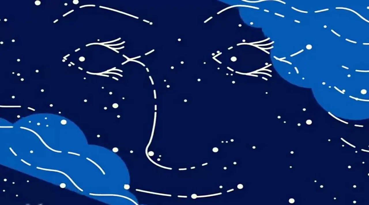 optical illusion, optical illusion image, woman face, fishes, the stars in the sky, viral photo