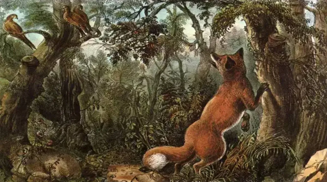 optical illusion, viral news, trending news, viral, trending, There are 15 hidden animal and human faces in the tricky optical illusion, 15 மிருகங்கள்- மனித முகங்கள் இருக்கு, நீங்க கண்டுபிடித்தது எத்தனை, How many can you spot, Optical ilusion image, find hidden animals and human faces