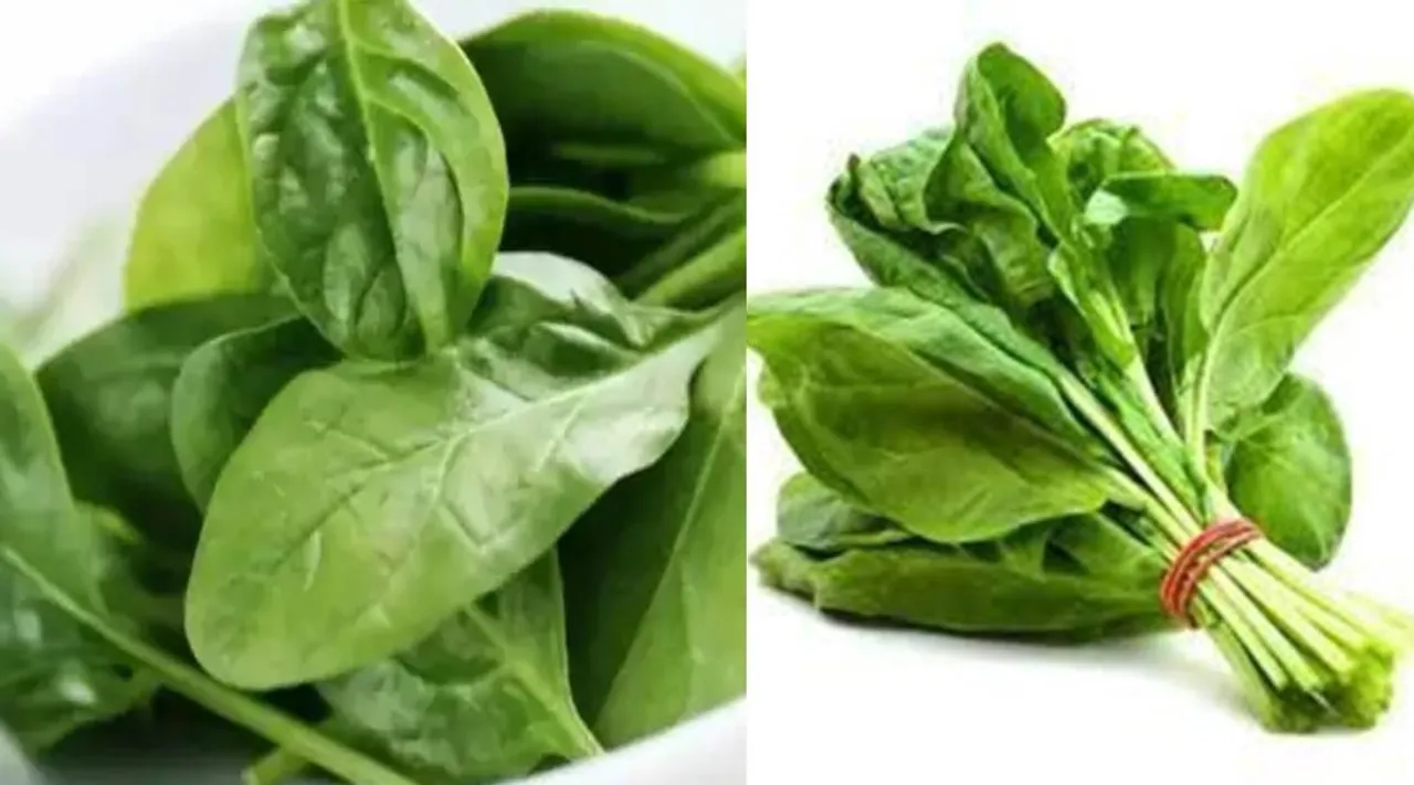 palak keerai for diabetes in tamil